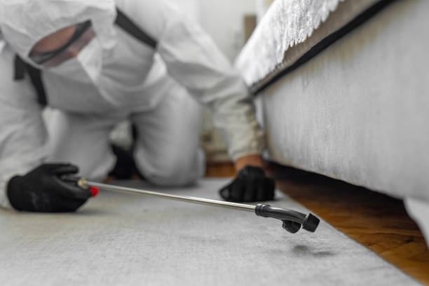 Professional Termite Control technician working in Clyde, TX